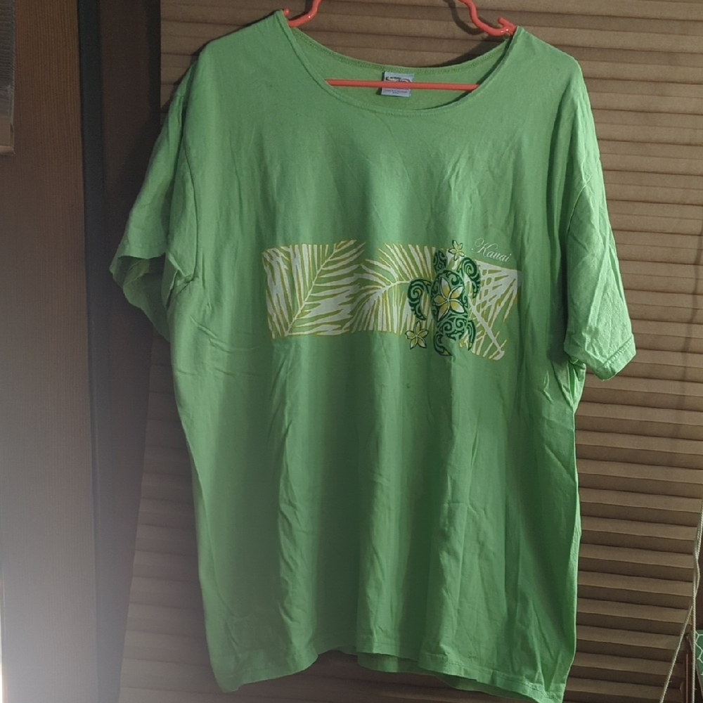 Crazy Shirts Key Lime Died Kauai Women's Turtle Surf Stripe T-shirt